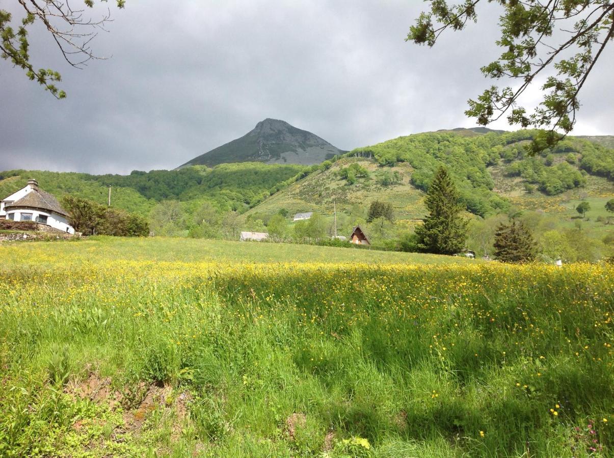 Вилла Chalet Avec Vue Panoramique Sur Le Plomb Du Cantal Сен-Жак-де-Бла Экстерьер фото