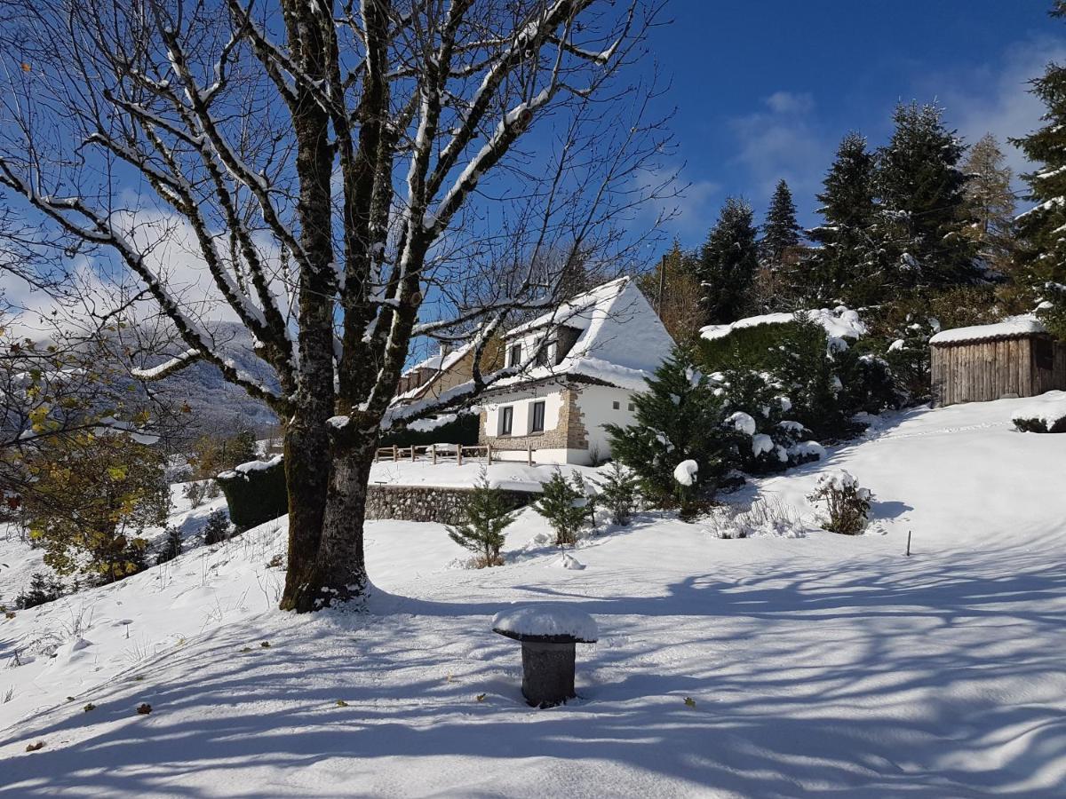 Вилла Chalet Avec Vue Panoramique Sur Le Plomb Du Cantal Сен-Жак-де-Бла Экстерьер фото